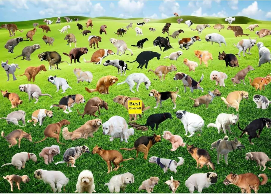 VOLUVOLU 1000-Piece Autumn Landscape Jigsaw Puzzle for Adults – Challenging Villa & Dog Scene Puzzle, 28x20 Inch Home Decor, Gift for Adults, Kids, Seniors