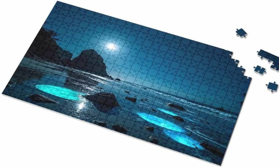 PLOWS 1000-Piece Moonlit Beach Jigsaw Puzzle for Kids Ages 6-8 & Adults - Glow in The Dark Educational Activity Toy (300Pcs Option)