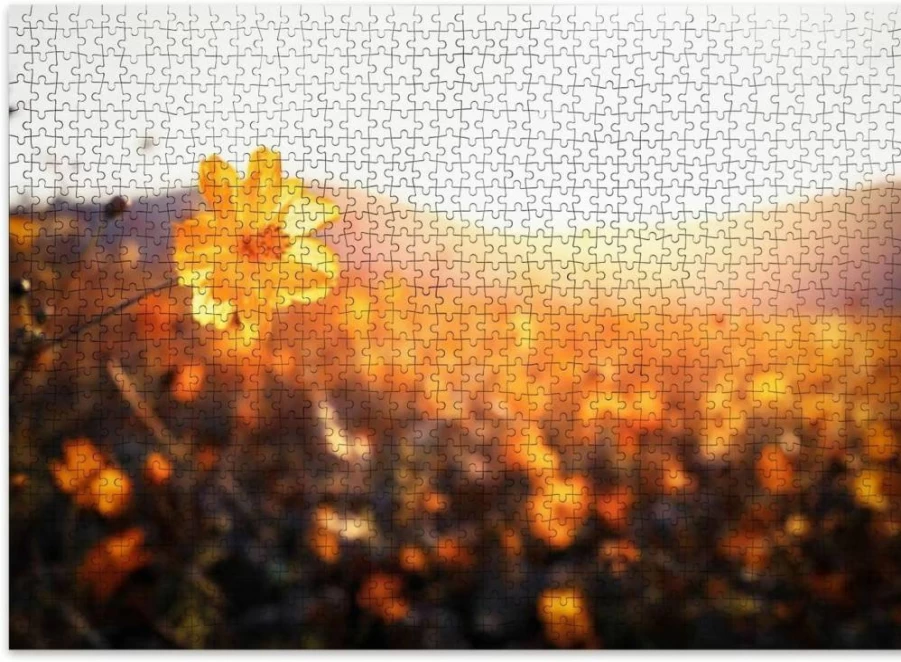 VETEB 500-Piece Wooden Jigsaw Puzzle for Adults - Bluebells Path Puzzle, Family Educational Game, Home Decor Gift