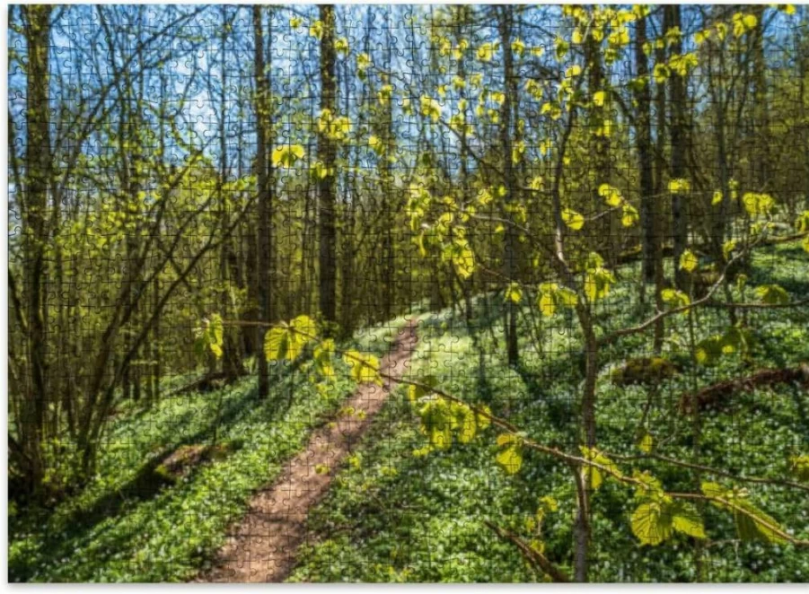 VETEB 500-Piece Spring Leaf Budding Jigsaw Puzzle for Adults - Wooden Educational Family Game & Home Decor Art