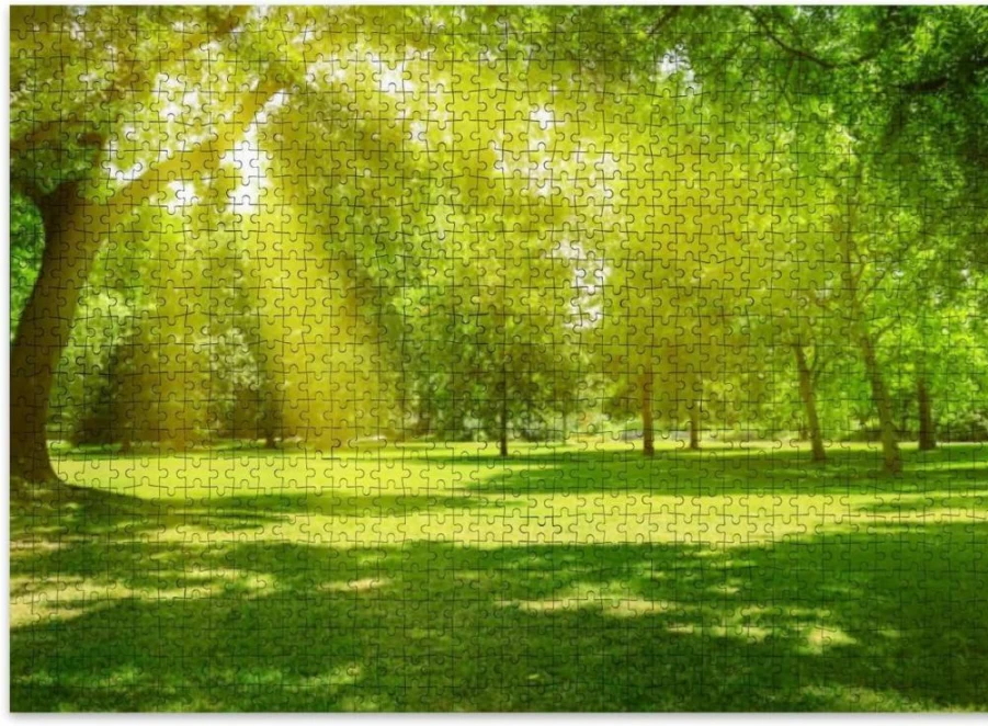 VETEB 500-Piece Wooden Jigsaw Puzzle for Adults - Sunrise Park Scenery, Family Educational Game, Home Decor Gift