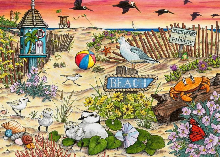 Wonder Forge Don't Disturb The Plovers 1000-Piece Jigsaw Puzzle for Adults | Amazon Exclusive Puzzle with Vibrant Art & Precision Fit