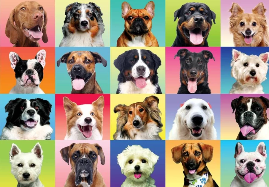 JOYIN 300-Piece Multicolor Puppy Jigsaw Puzzle for Kids, Adults, and Teens - 29"x21" Fun Educational Puzzle, Unique Home Decor and Gift Idea