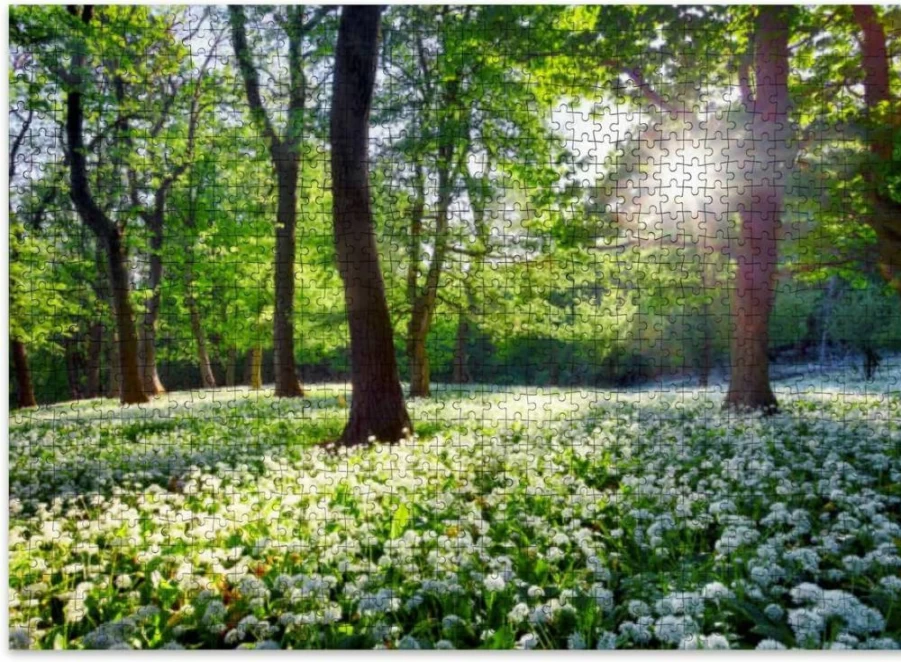 VETEB 500-Piece Wooden Jigsaw Puzzle for Adults - Green Forest Spring Scenery, Family Educational Game, Home Decor Puzzle Toy