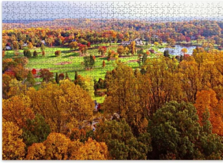 VETEB 500-Piece Wooden Jigsaw Puzzle for Adults - Green Warbler Singing Bird Puzzle, Educational Family Games, Home Decor Art Gift